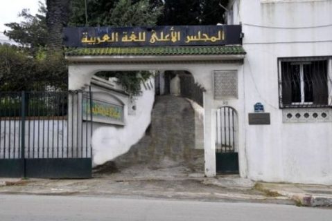 نافذة على الإبداع.. انطلاق الترشح لجائزة رئيس الجمهورية