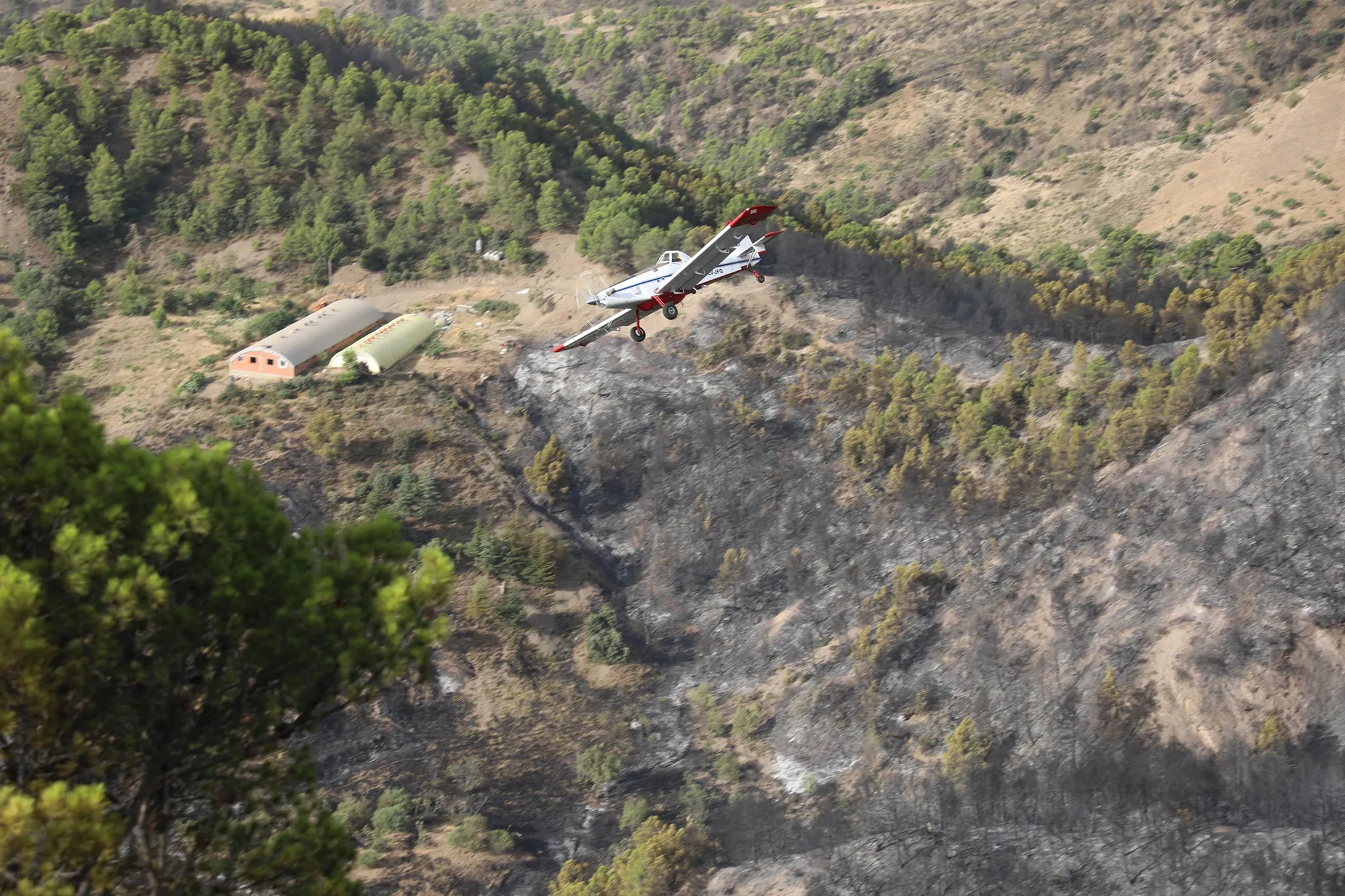 تسخير 10 طائرات لإخماد حريق بلدية اثنية النصر برج بوعريريج 