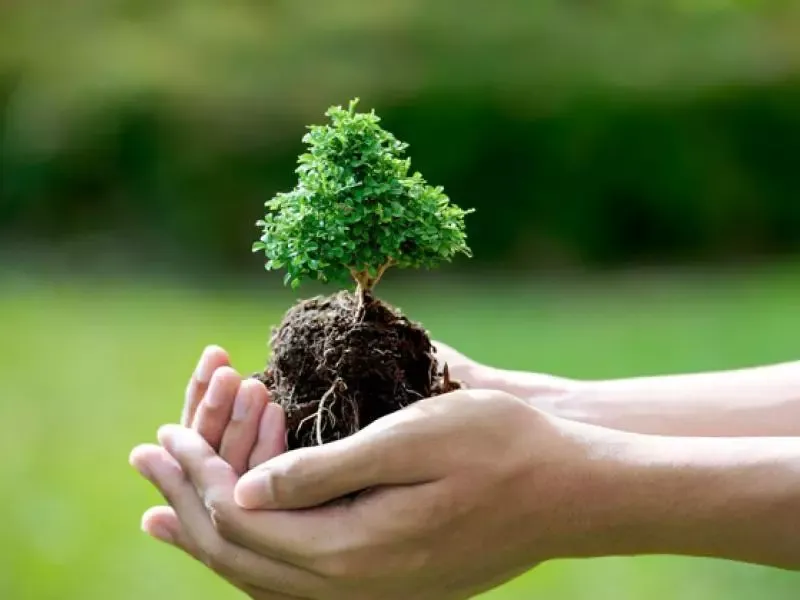 غرس مليون شتلة هذا السبت..  تحضيرات واسعة لإنجاح الحملة الوطنية