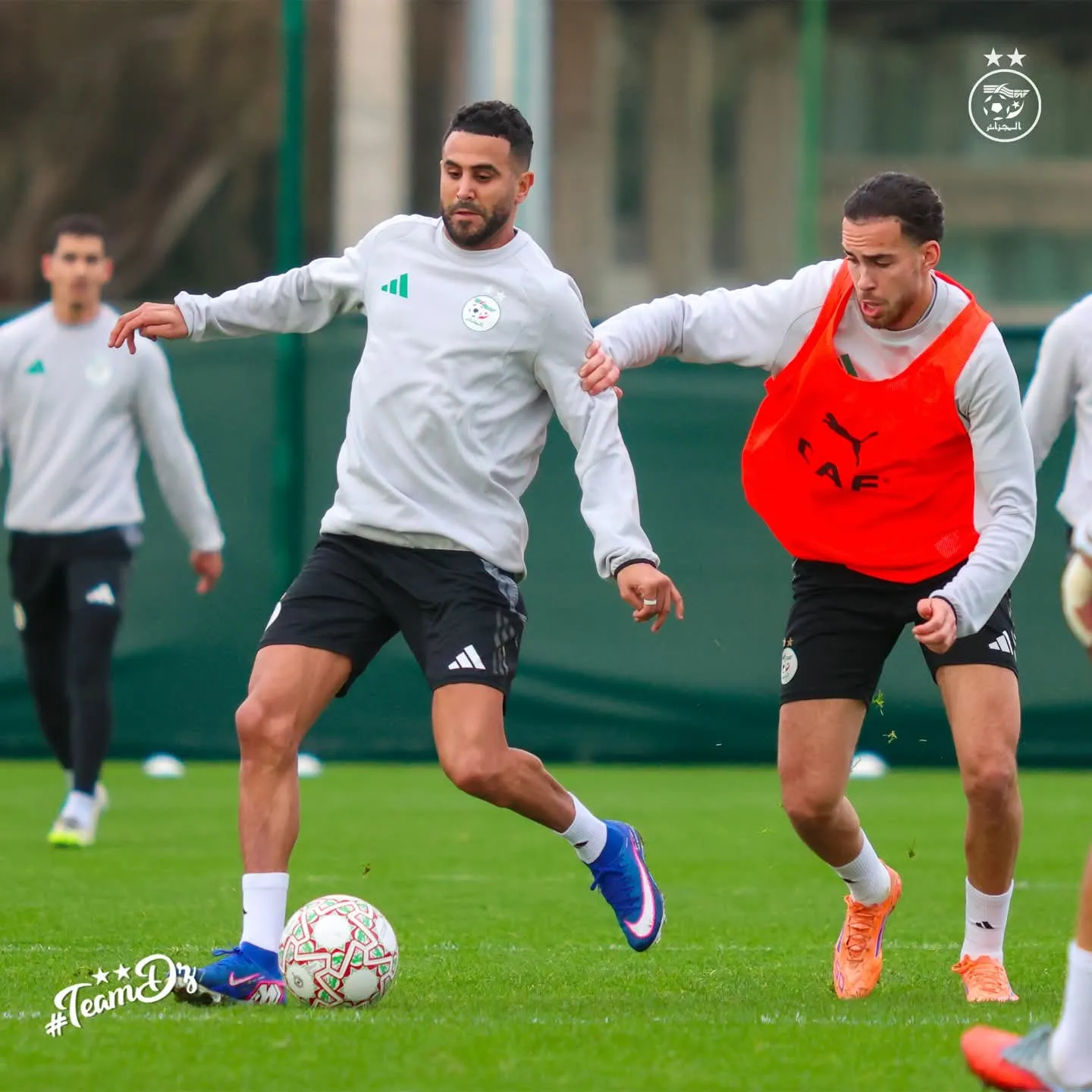 المنتخب الوطني يعود للتدريبات تحسبا لمواجهة الكونغو الديمقراطية