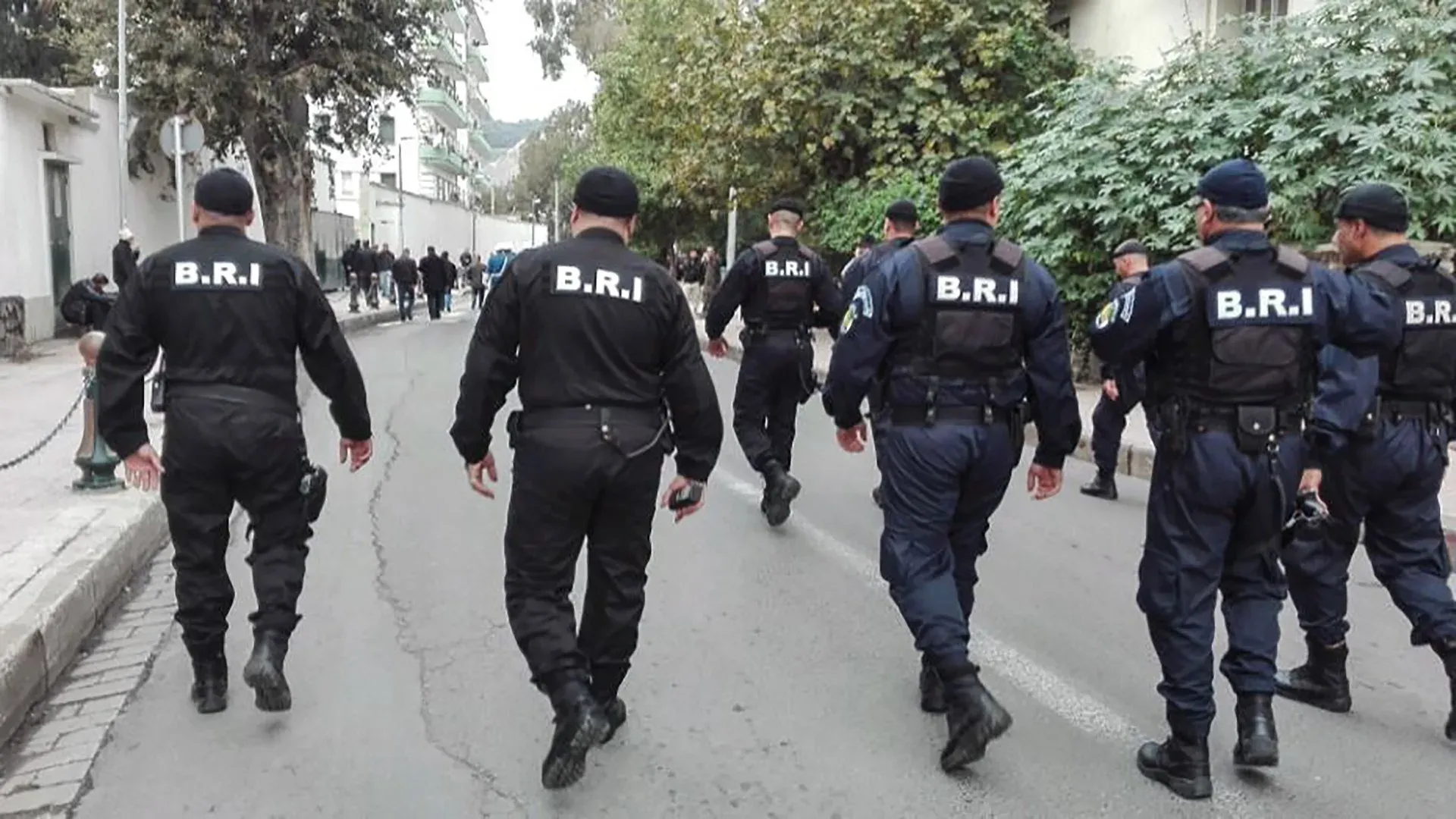 إحباط محاولة إدخال أزيد من 100 كلغ مخدرات قادمة من المغرب