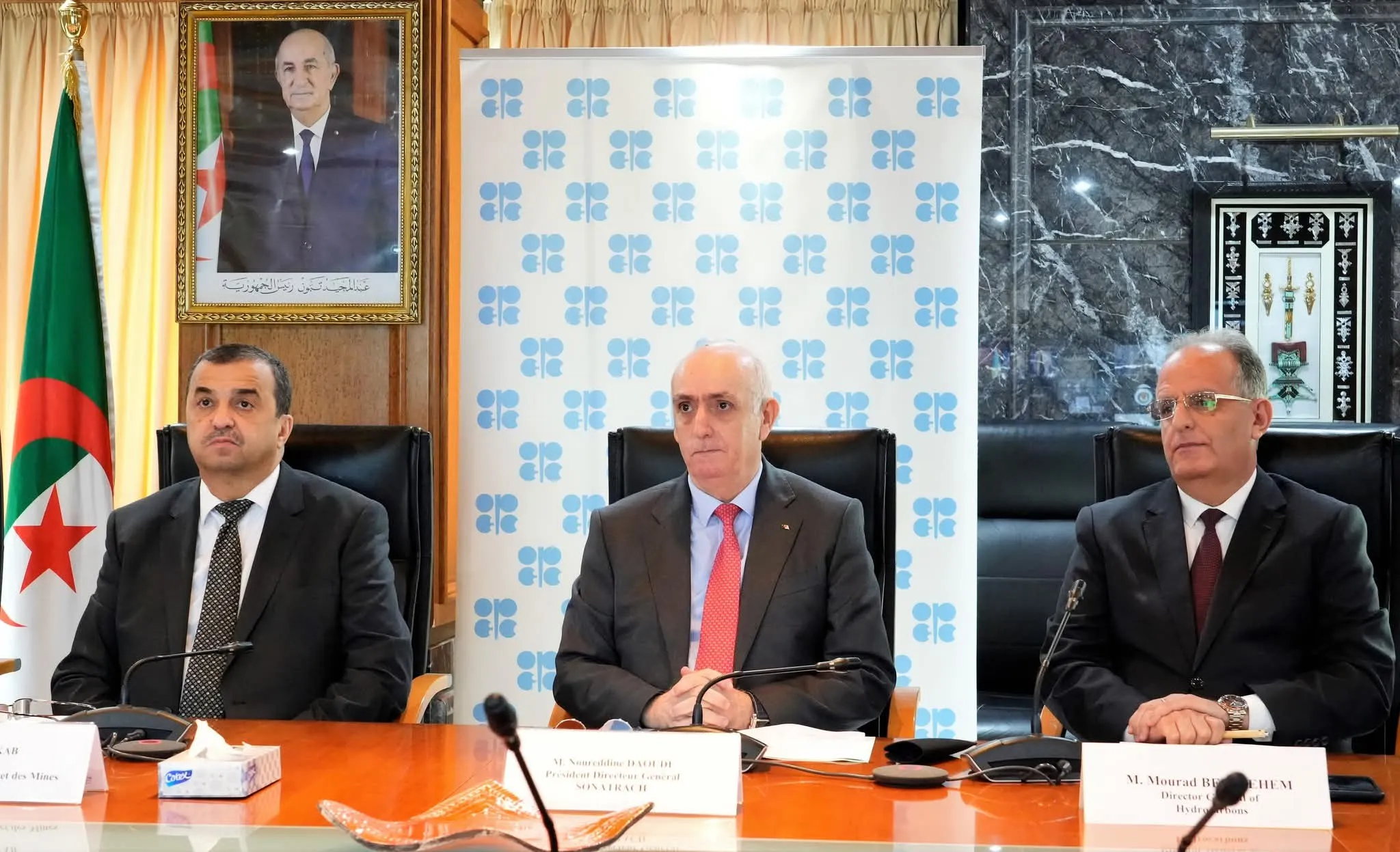 أوبك+: الجزائر و7 دول أخرى تقرر زيادة إنتاجها بـ206 ألف برميل يوميا