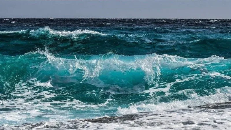 رياح عاتية في هذه السواحل