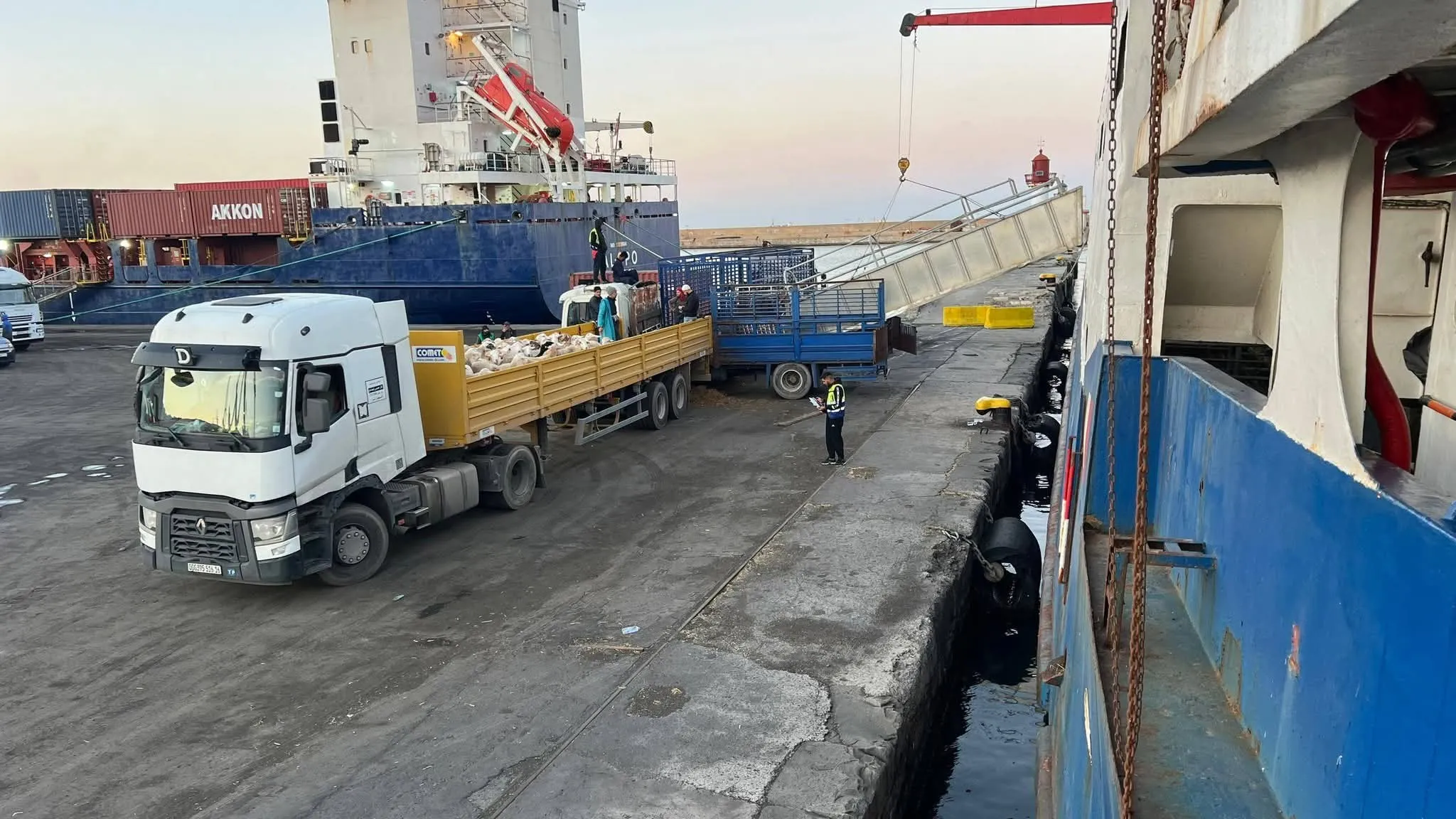 وصول شحنة جديدة من أضاحي العيد إلى ميناء الجزائر