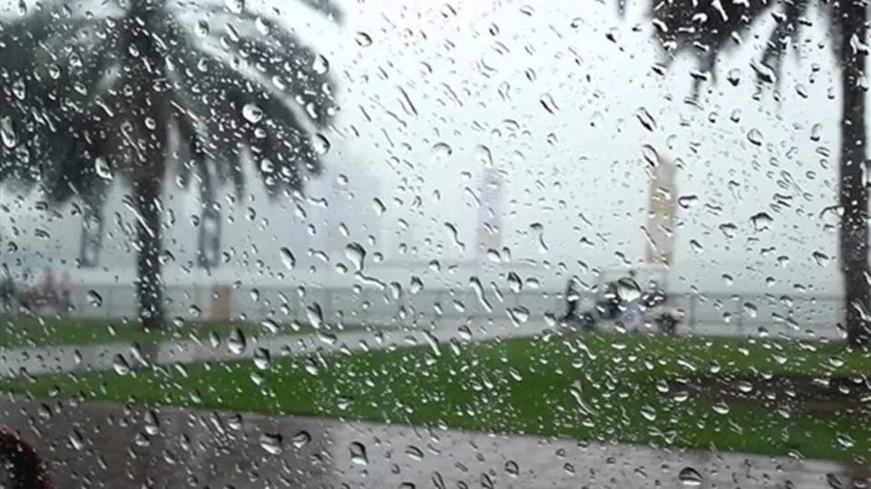 أمطار رعدية على عدة ولايات