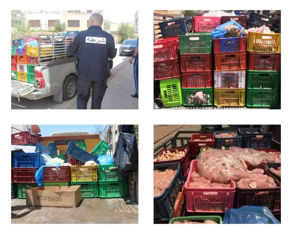 يستعمل مسحوق حفظ الجثث.. إحباط توزيع 3 أطنان من اللحوم الفاسدة