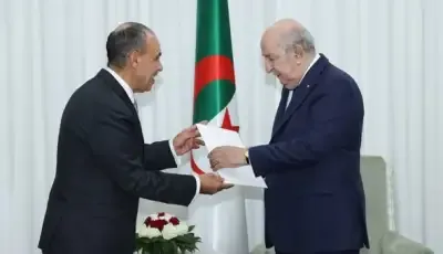 الرئيس تبون يتسلم رسالة من نظيره المصري