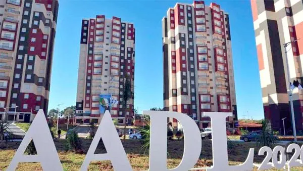 300 ألف سكن بصيغة عدل في 2026.. الخزينة تتكفل بفوائد القروض