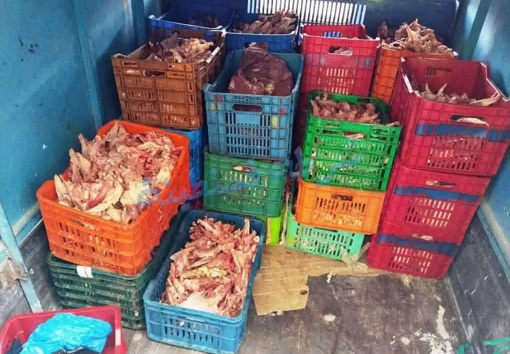 قسنطينة: حجز أزيد من 12 قنطارا من اللحوم البيضاء الفاسدة