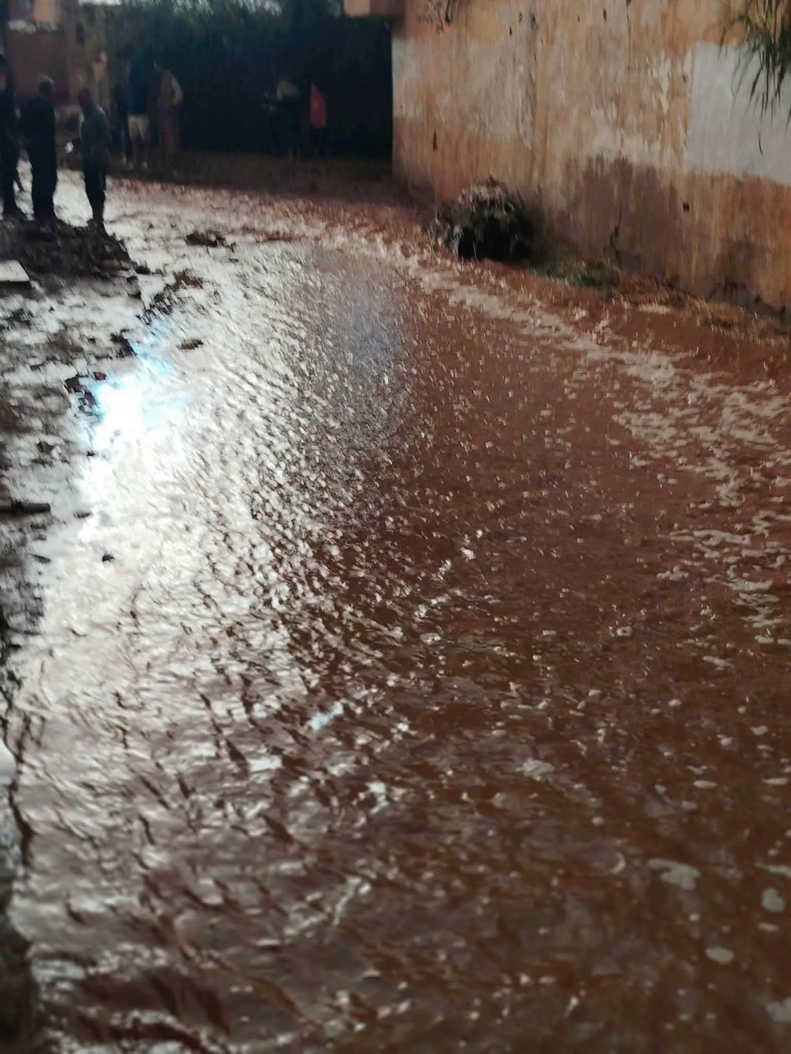 أمطار رعدية غزيرة في هذه الولايات