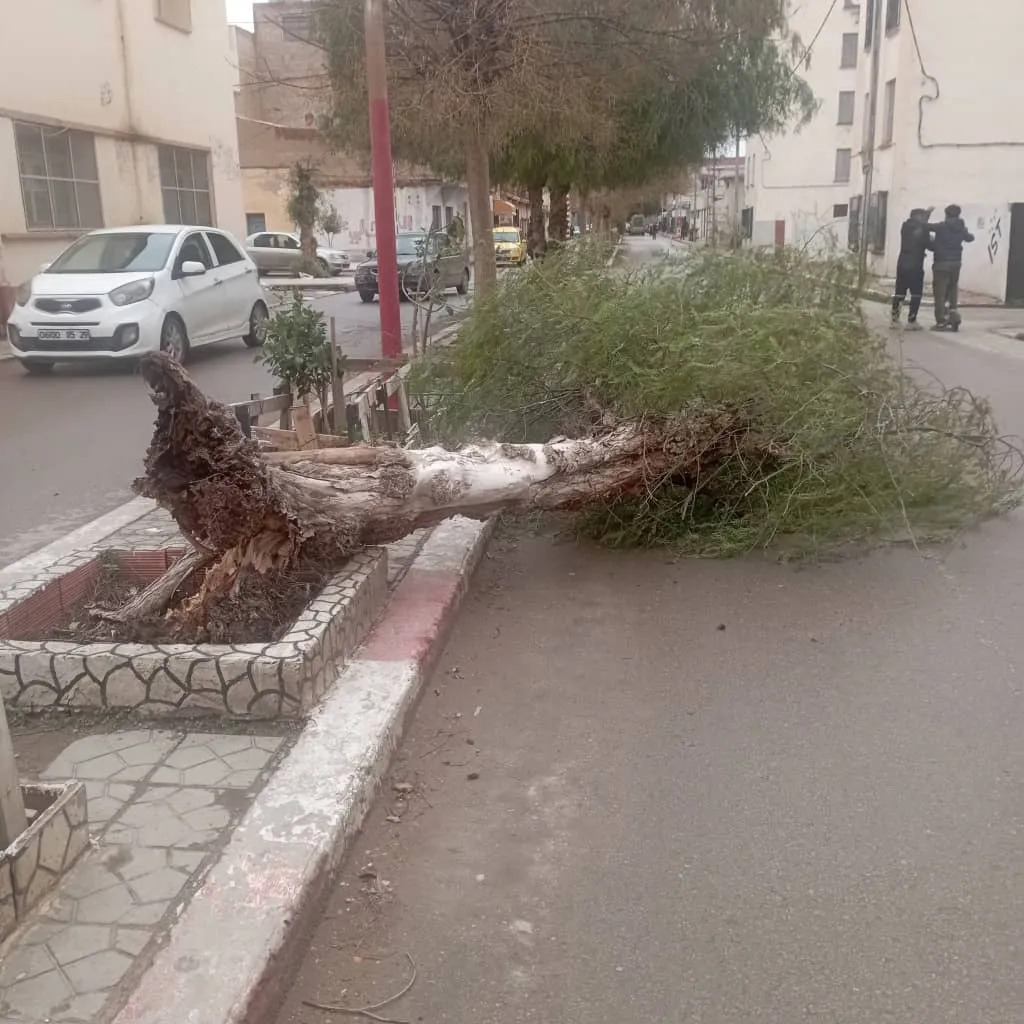 تراجع تدريجي في سرعة الرياح ابتداءً من غدٍ الخميس