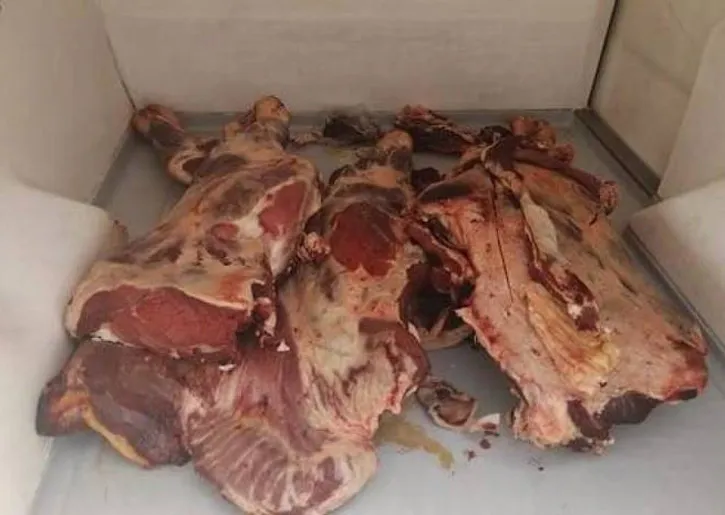 حجز كمية ضخمة من اللحوم الحمراء الفاسدة في بسكرة