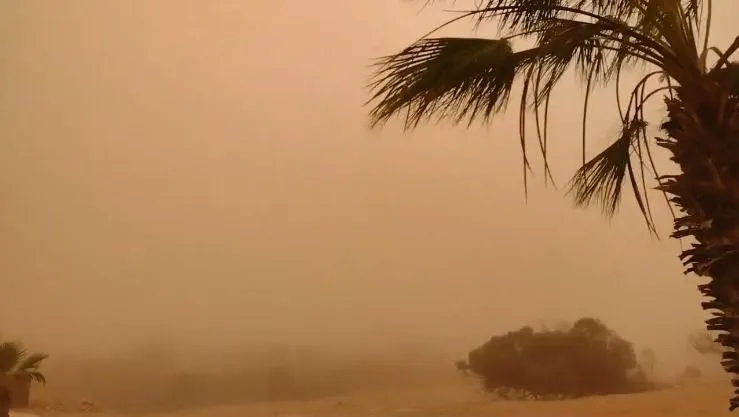 أمطار غزيرة وزوابع رملية على هذه الولايات