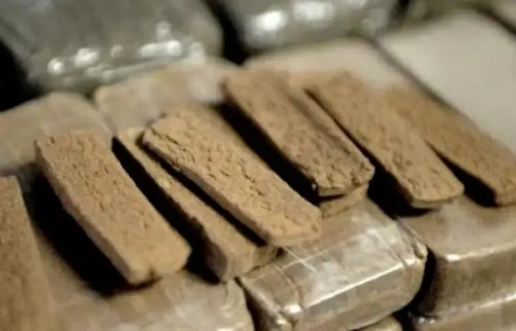 احباط تهريب 257 كلغ من الكيف المعالج بالنعامة