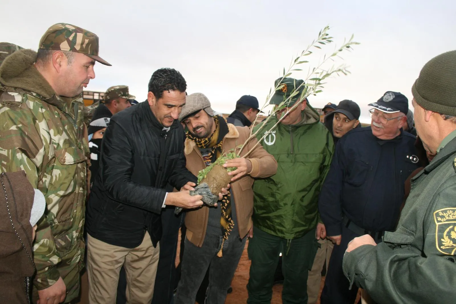 حملة تشجير كبرى بالإدريسية… 10 آلاف شجيرة لتعزيز الغطاء النباتي
