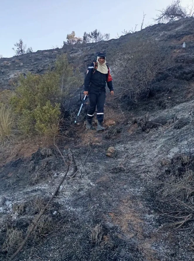 هذه آخر حصيلة لحرائق الغطاء النباتي عبر الوطن