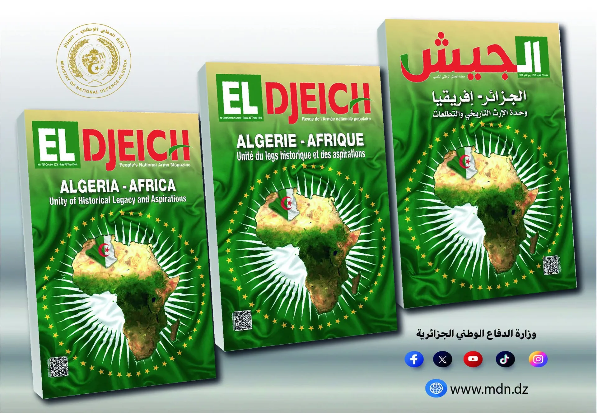 الجزائر تعزز دورها الإفريقي وتلتزم بثوابت القارة في مواجهة التحديات