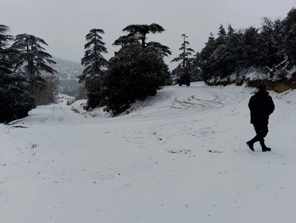 ثلوج كثيفة تصل إلى 10 سم في هذه المرتفعات