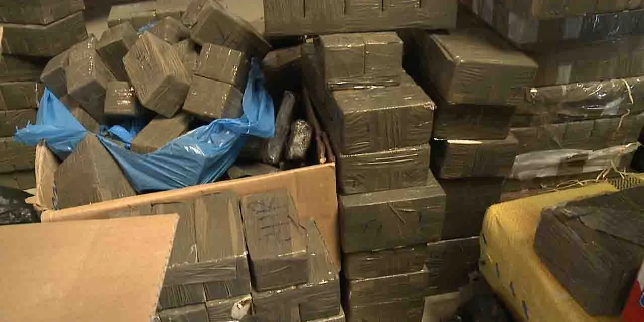 إحباط محاولة تهريب 209 كلغ من المخدرات في بني عباس