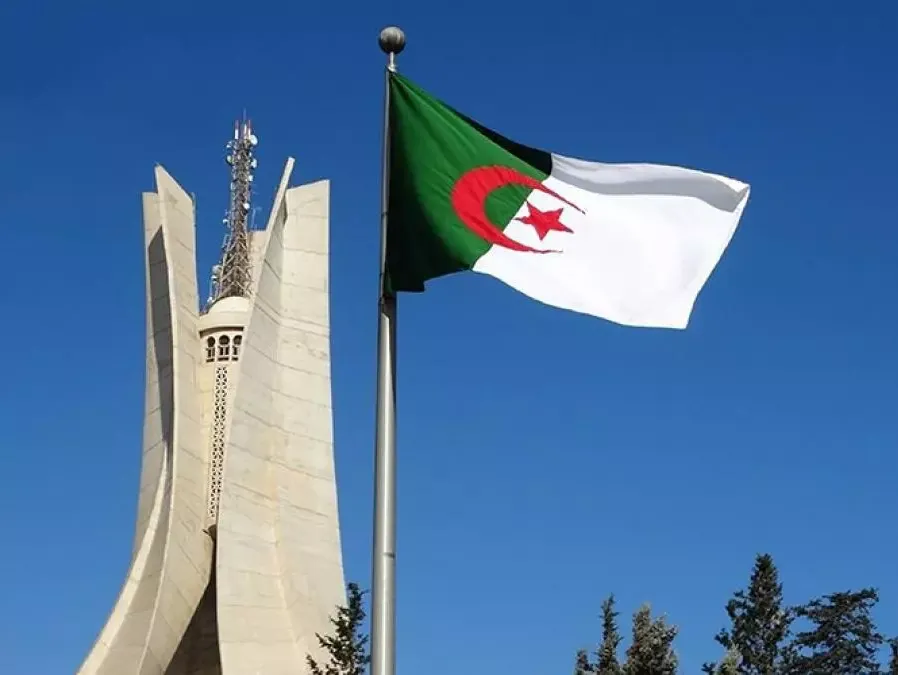 انتخاب الجزائر لنيابة رئاسة مكتب لجنة المنظمات غير الحكومية للأمم المتحدة