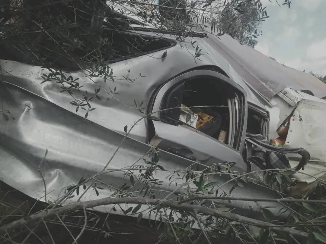 مجزرة مرورية بولاية عين الدفلى