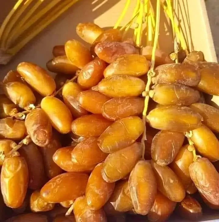 دقلة نور رابع أجود وأحسن فاكهة في العالم