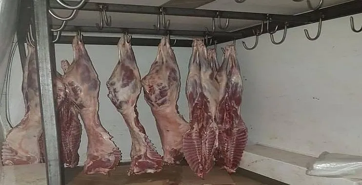 حجز أزيد من 3 قناطير لحوم حمراء فاسدة بعين الدفلى