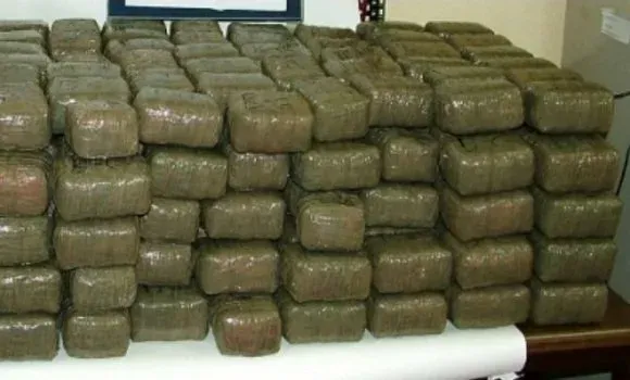 4 مليار قيمة العائدات..تفكيك شبكتين للمخدرات قادمة من المغرب