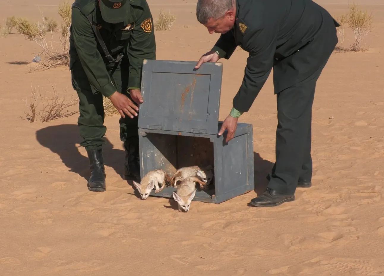 الدرك الوطني يسترجع حيوانات مهددة بالانقراض