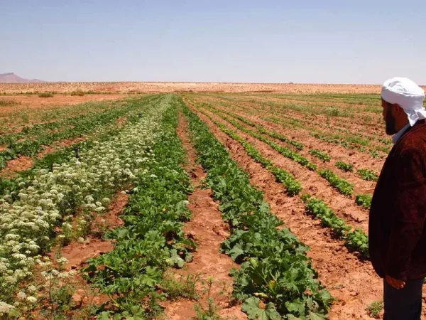 بيان هام بخصوص التنازل عن حق الامتياز الفلاحي