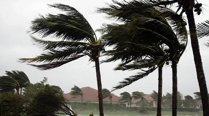 رياح جد قوية في هذه الولايات