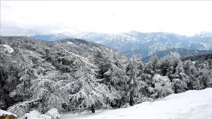 ثلوج في هذه المرتفعات تصل إلى 10 سم