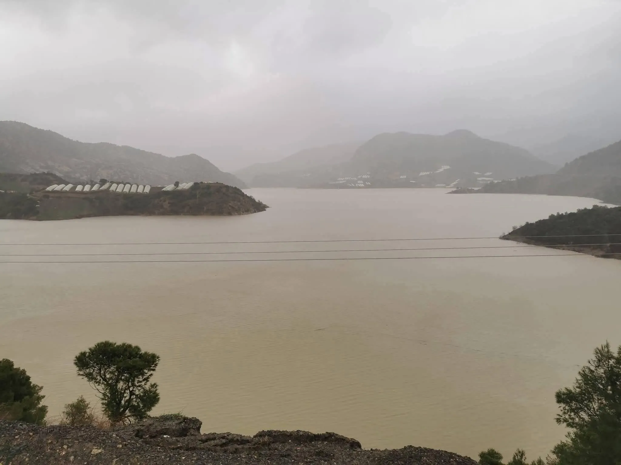 تقلبات جوية..ولاية تيبازة تنفي تعليق الدراسة