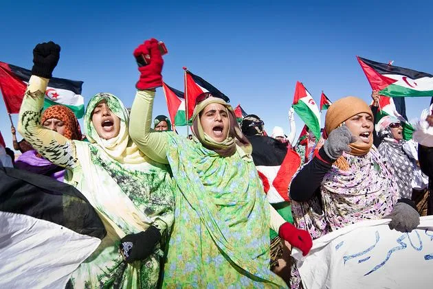 البوليساريو لن تدخر جهدا في الدفاع عن حقوق الصحراويين