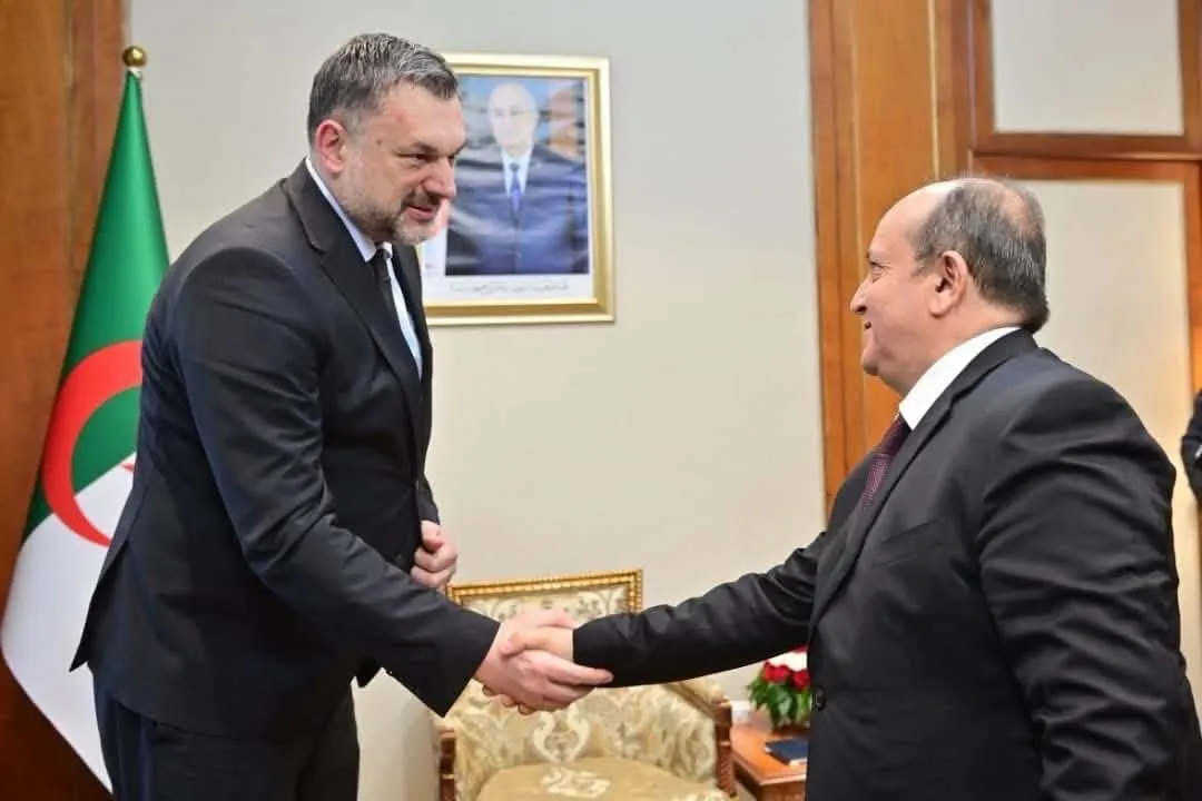 الوزير الأول يستقبل وزير خارجية البوسنة والهرسك