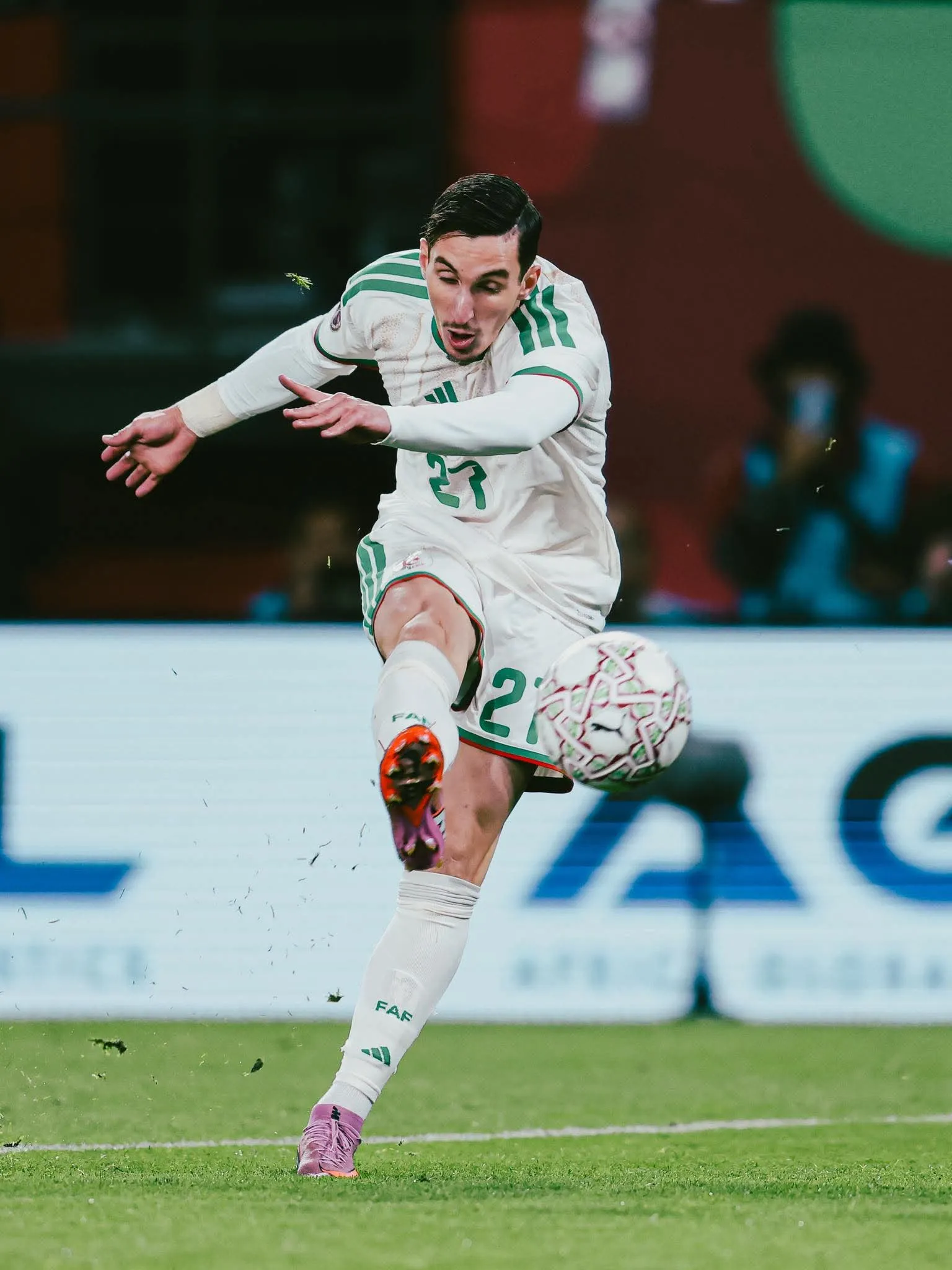 رواد السوشل ميديا بصوت واحد..حطها فلغول يا بولبينة