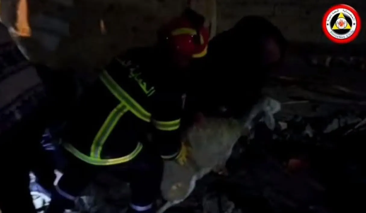 نفوق 37 رأسا من الغنم اثر انهيار اسطبل في المدية