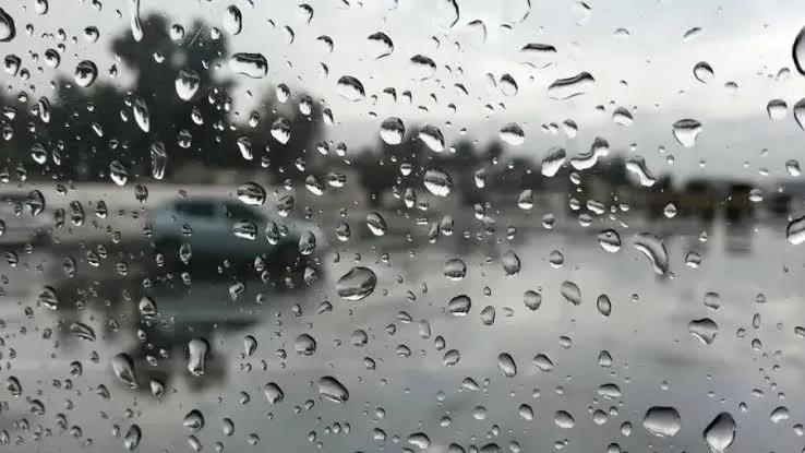 أمطار رعدية في هذه الولايات