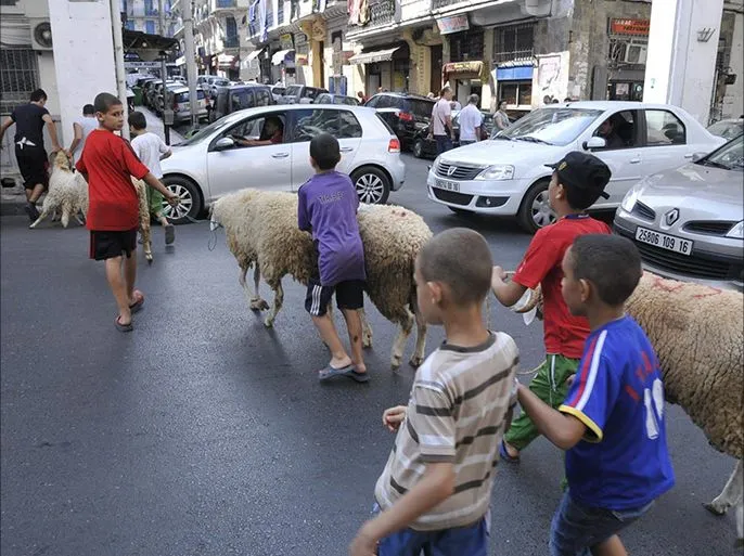 مخطط واسع لضمان نظافة المدن خلال عيد الأضحى
