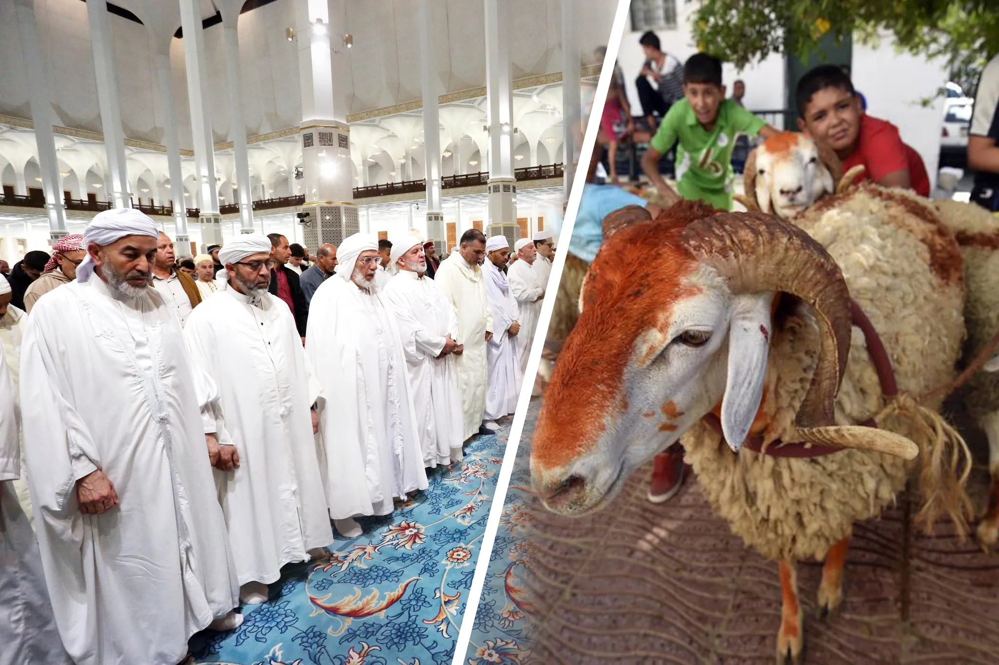 الجمعة فرض لا يعفى بأداء العيد.. توضيح رسمي من وزارة الشؤون الدينية