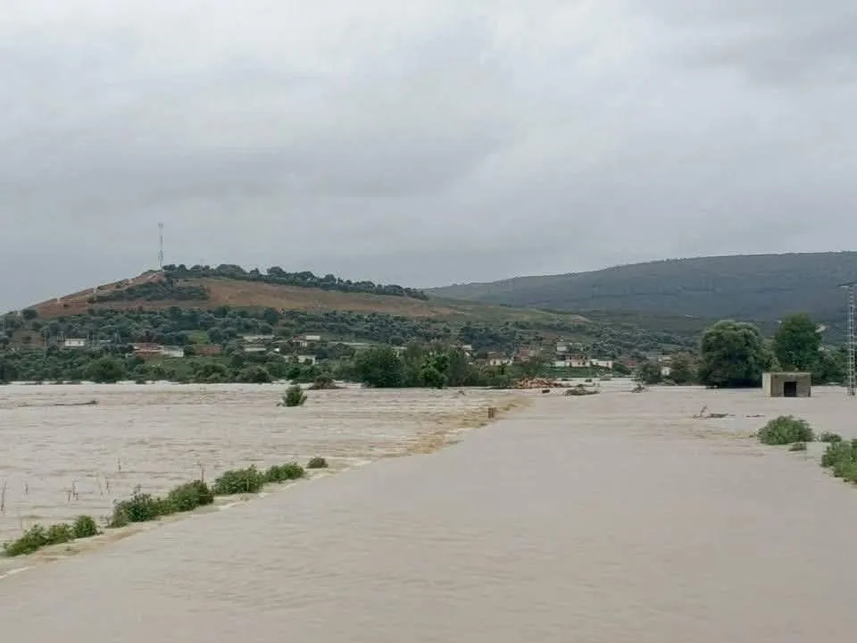 تعليق الدراسة بعدة مؤسسات تربوية في الطارف