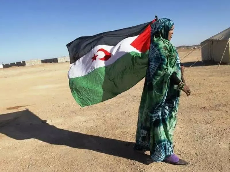 انضمام منظمة \"كوديسا\" الصحراوية إلى المنظمة الدولية لمناهضة التعذيب