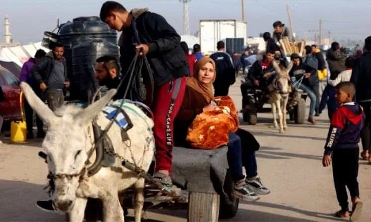 النازحون في غزة يواجهون ليالي متجمدة ونقصا في الغذاء
