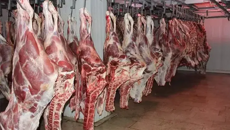 استيراد 144 ألف رأس غنم و46 ألف بقرة تحسبًا لرمضان