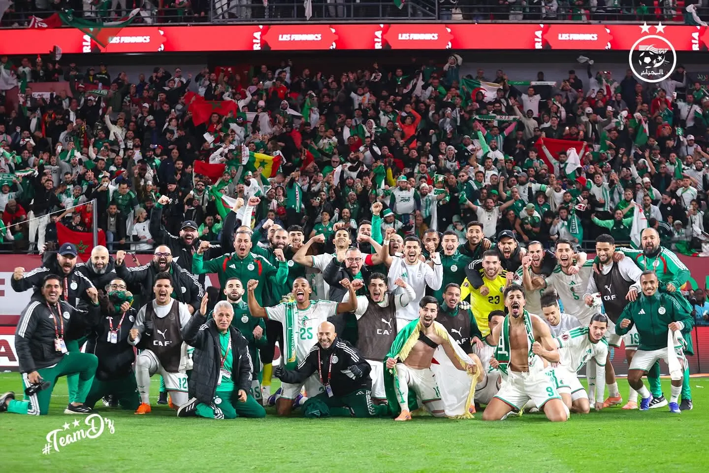 بوغالي يهنئ الخضر بالتأهل للدور الربع نهائي في كان 2025