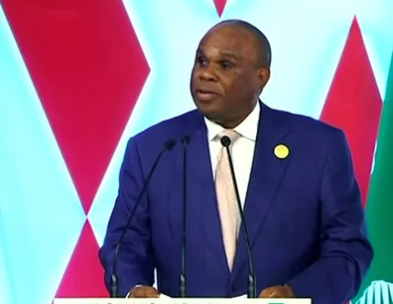 رئيس أفريكسيمبنك: الجزائر تقود التحول الاقتصادي لإفريقيا