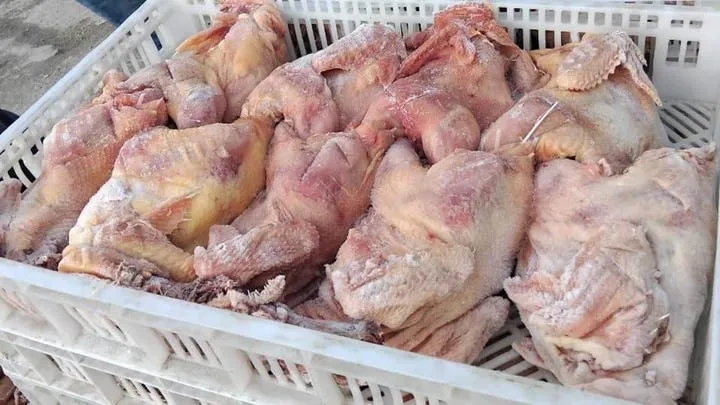 بجاية: حجز أكثر من 65 قنطارا من الدجاج واللحوم الفاسدة بأقبو