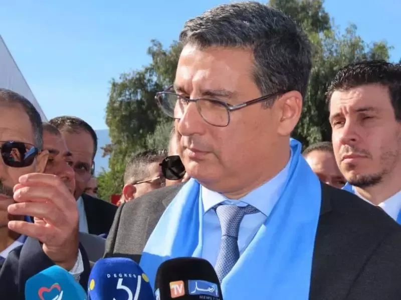 آيت مسعودان: الشروع في اعتماد الرقمنة لحل مشاكل قطاع الصحة