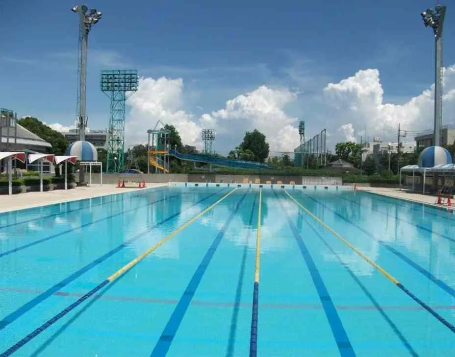 مرسوم رئاسي جديد بخصوص المسابح العمومية