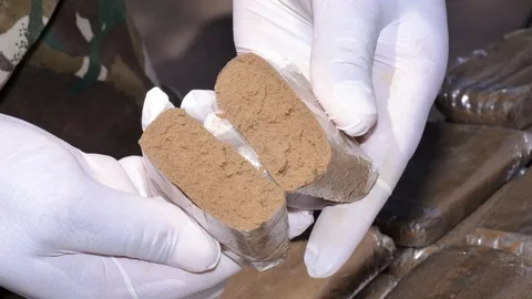 حجز أزيد من 9 كلغ من الكيف المعالج بقسنطينة
